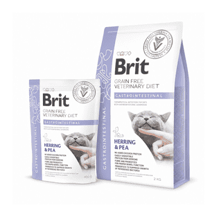 Vet Diet - Cat Gastrointestinal