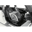 Dog car seat with net