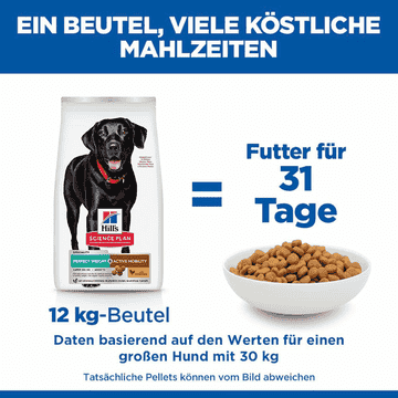 Canine Perfect Weight + Active Mobility Large Breed