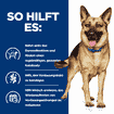Canine Gastrointestinal Biome