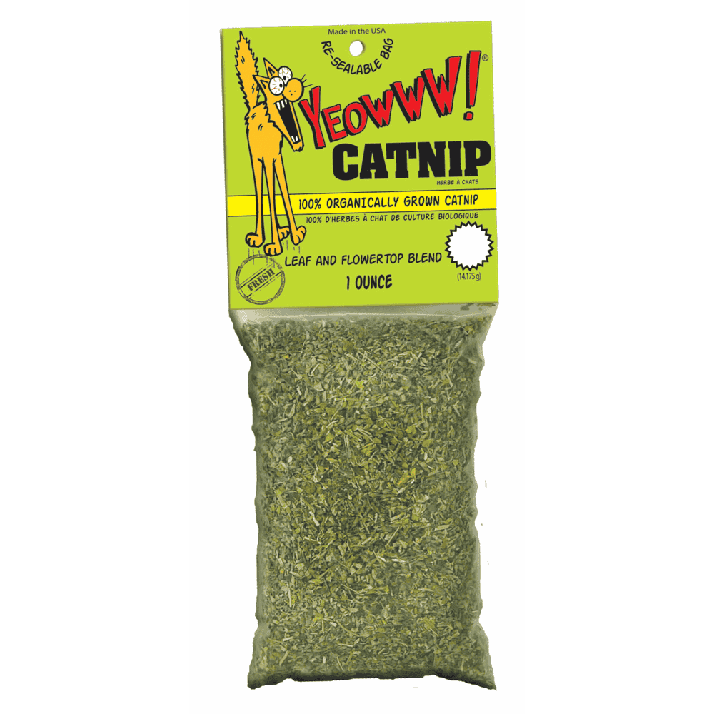 Catnip (Katzenminze)