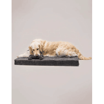 Matelas orthopédique pour chiens Chill Charcoal