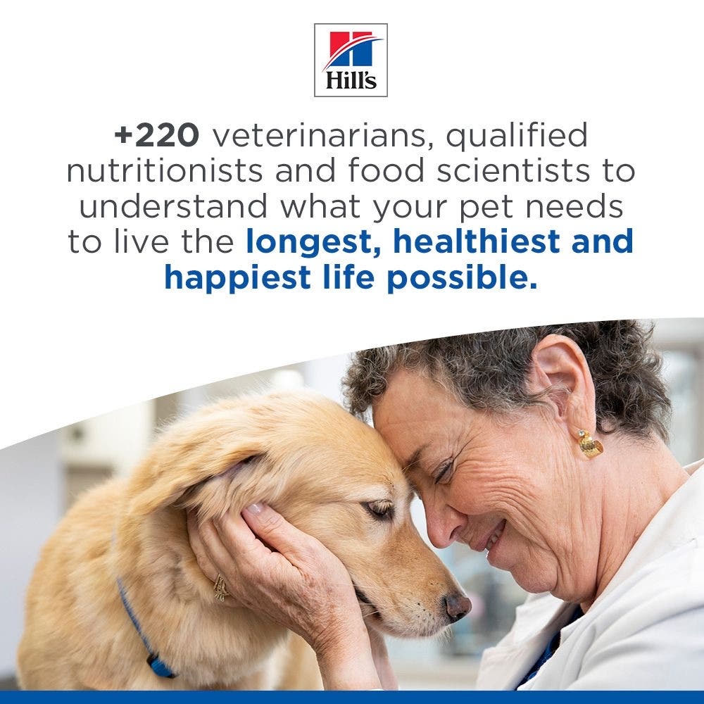 Canine Adult Perfect Weight Large Breed