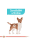 Urinary Care Wet