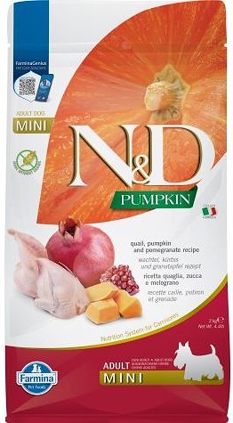 Canine Adult Mini Pumpkin Quail