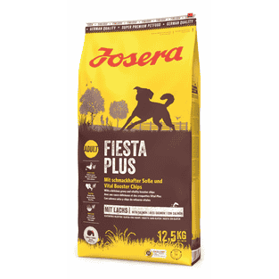 FiestaPlus