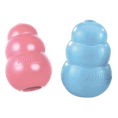 KONG Welpen Spielzeug