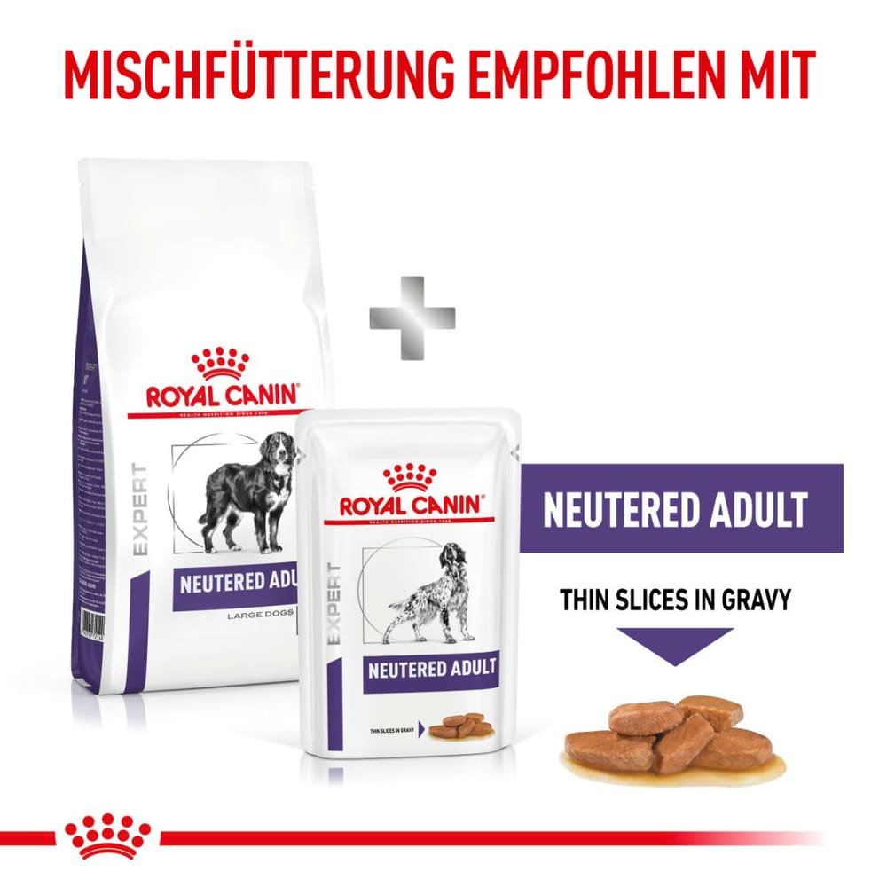 Neutered Adult Large Dog