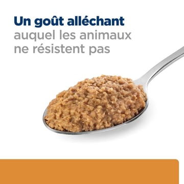 Canine k/d Kidney Care Original - Boîte