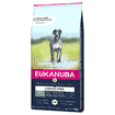 Grain Free Adult L/XL au saumon