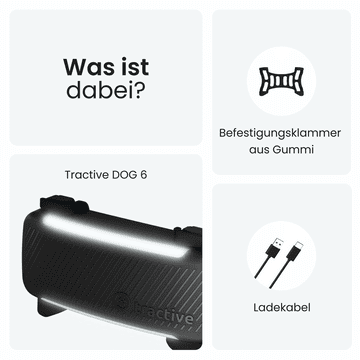 DOG 6 Tracker