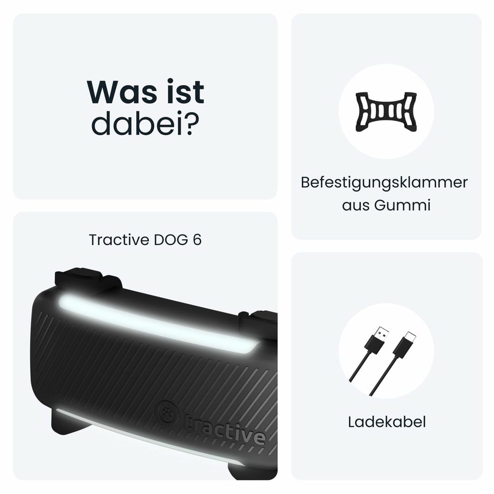 DOG 6 Tracker