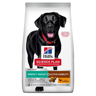 Canine Perfect Weight + Active Mobility Large Breed
