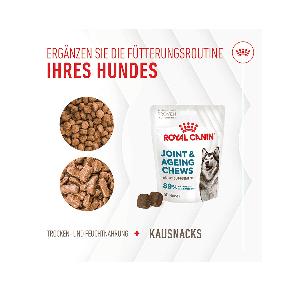 Joint &amp; Ageing Chews Adult Supplements