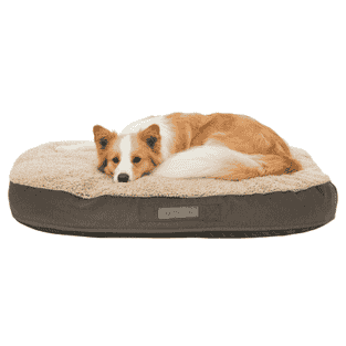 Vital Kissen Bendson, extra hoch