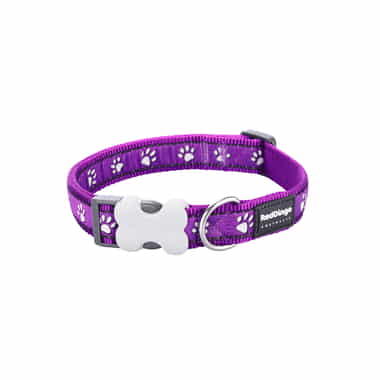 Halsband Design Desert Paws Purple