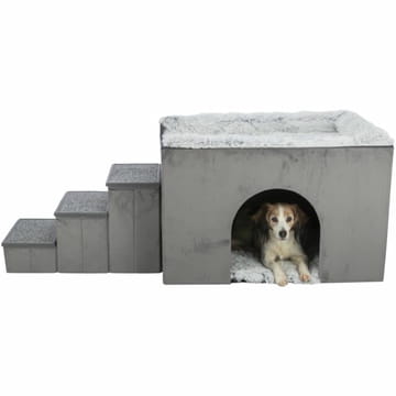 Höhle Harvey mit Treppe, grau