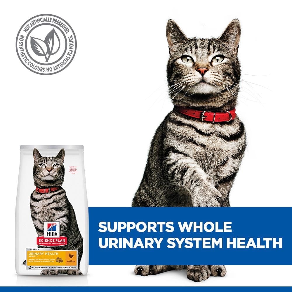 Feline Urinary Health