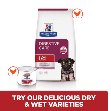 Puppy i/d Digestive Care Chicken