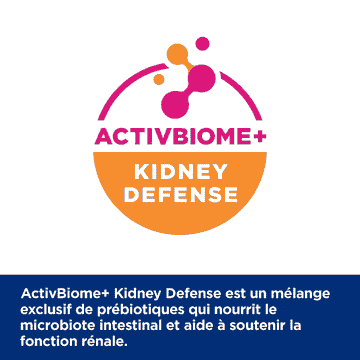 Canine k/d Kidney Care Original - Boîte