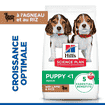 Puppy Medium Breed Lamb & Rice