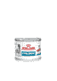 Hypoallergenic Dog - Dose