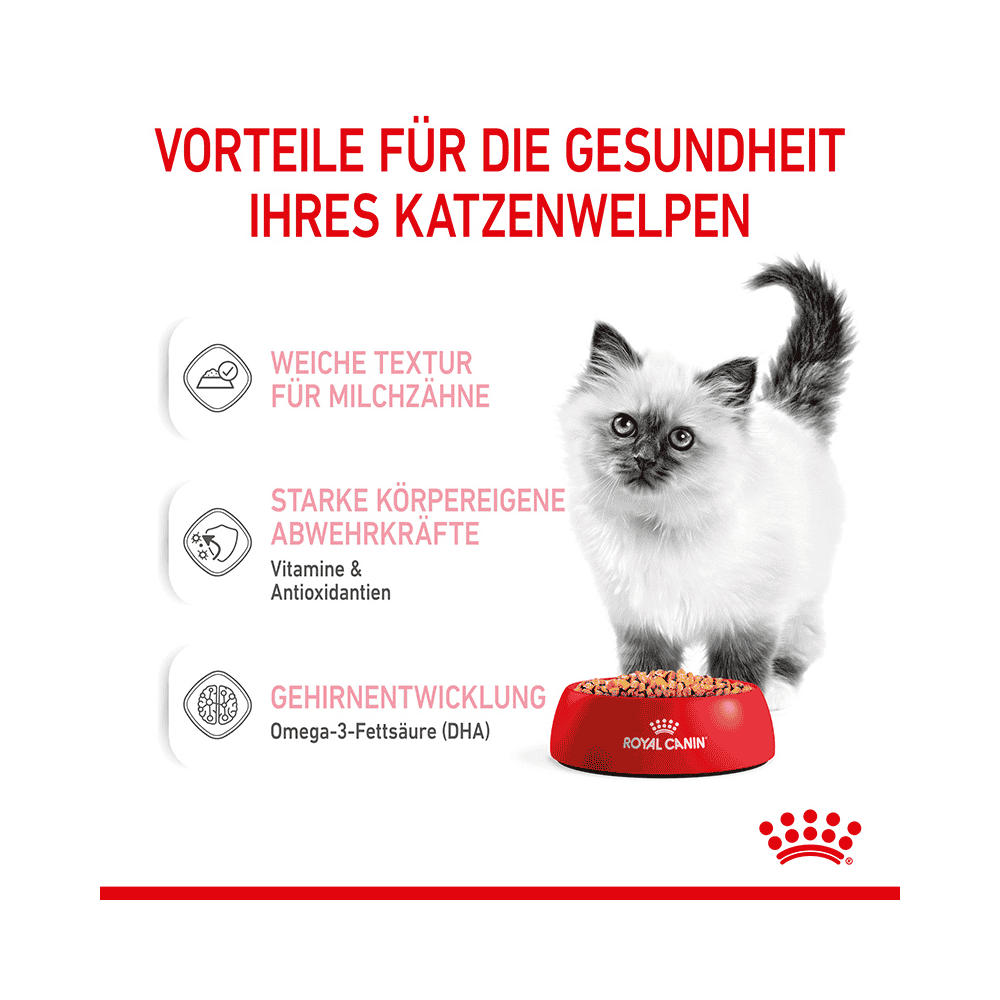 Kitten in Gelée - Frischebeutel