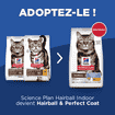 Feline Hairball & Perfect Coat Adult