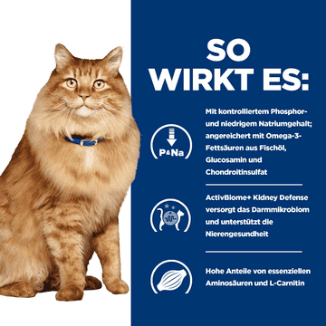 Feline k/d + j/d Kidney + Mobility - Fresh pouches
