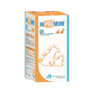 Impromune Kautabletten für Hunde und Katzen
