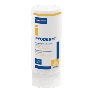 Shampoing Pyoderm