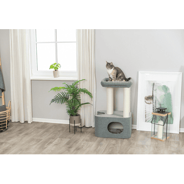 Viviana cat scratcher