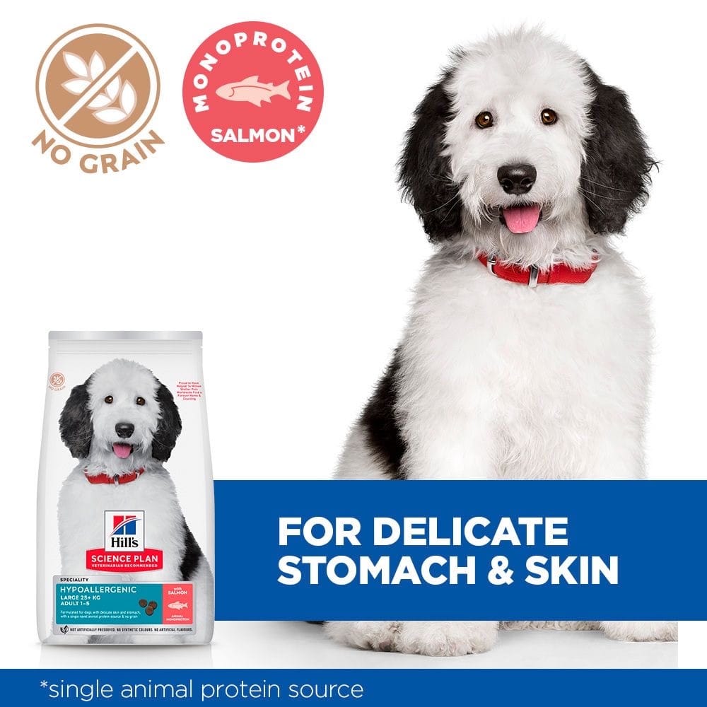 Canine Hypoallergenic Large Breed Salmon