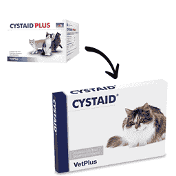 Cystaid Plus