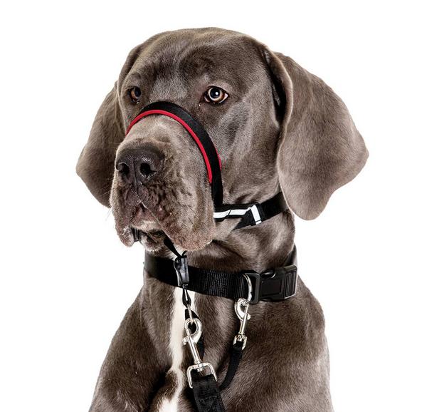 Optifit Headcollar, schwarz