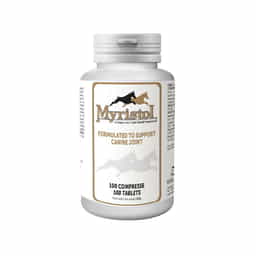 Myristol Dog