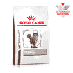 Hepatic Cat