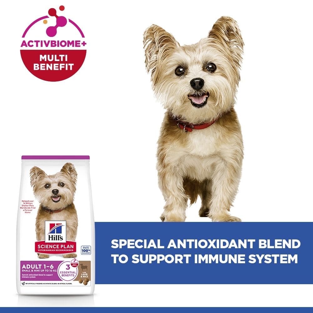 Canine Adult Small+Mini Breed Lamb & Rice