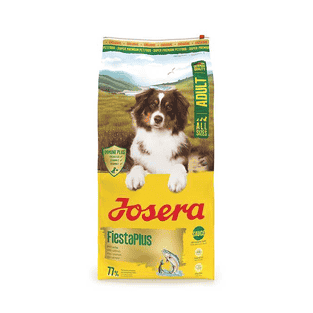 Adult FiestaPlus