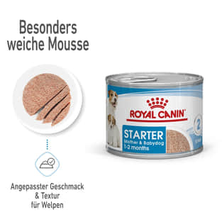 Starter Mousse Mother&Babies - Dose
