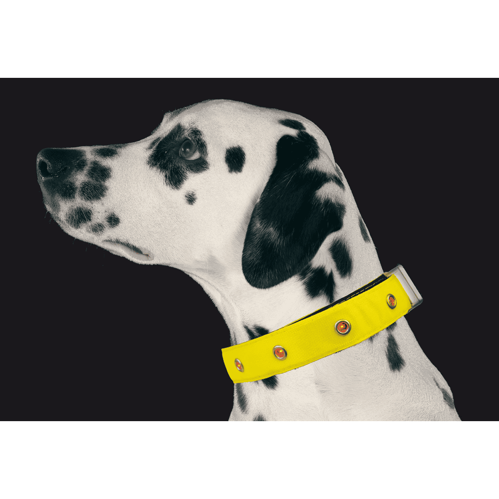 Collier lumineux à LED jaune