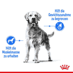 Maxi Light Weight Care