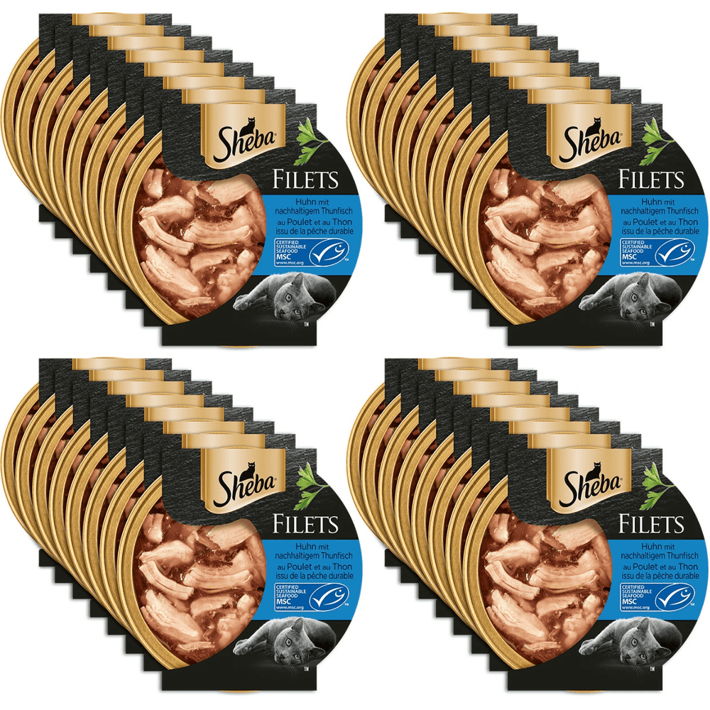 Feine Filets in Sauce