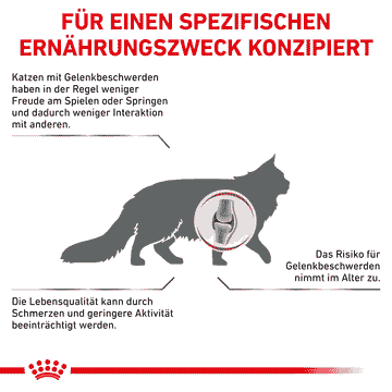Mobility Cat