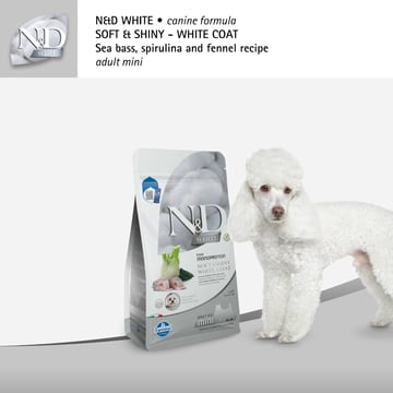 Canine Adult Mini Bar, Fenouil & Spiruline