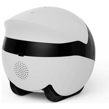 ROLA Mini Companion Robot