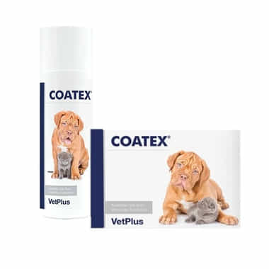 COATEX EFA