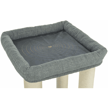 Viviana cat scratcher