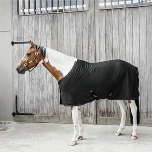 Cooler Fleece Rug - navy
