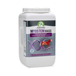 Myostem Mass